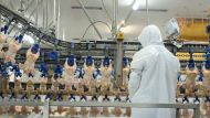 - Мы единственная страна в Европе, которая имеет согласие Китая на экспорт мяса птицы, - заявил министр сельского хозяйства и развития сельских районов Ян Кшиштоф Ардановский